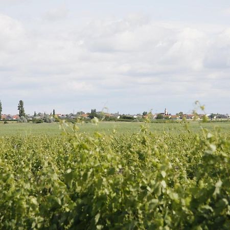 Pension & Weingut Storchenblick Illmitz Buitenkant foto