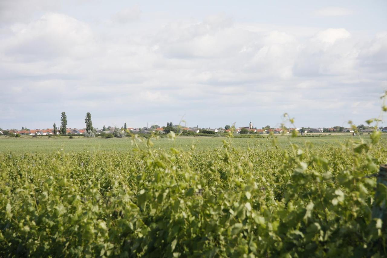 Pension & Weingut Storchenblick Illmitz Buitenkant foto